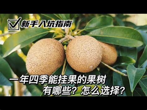 適合北部種植的果樹|108種台灣北部平地適合種植的果樹の目錄圖鑑及栽培。